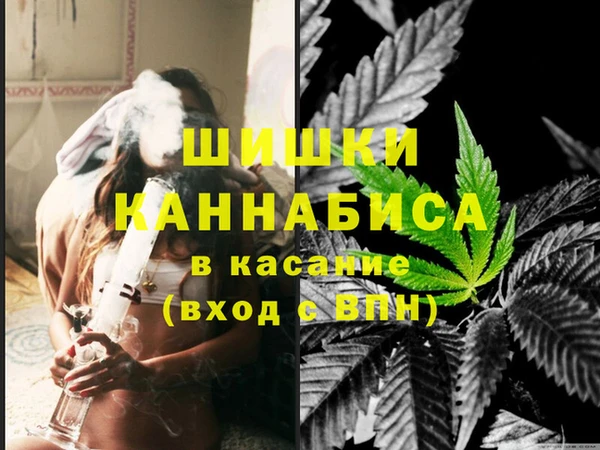 дживик Белокуриха