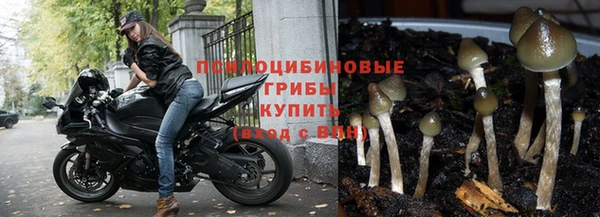 ешки Беломорск