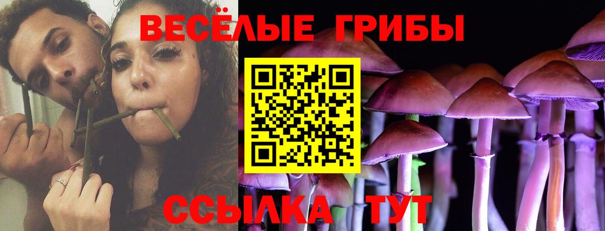 Галлюциногенные грибы прущие грибы Острогожск